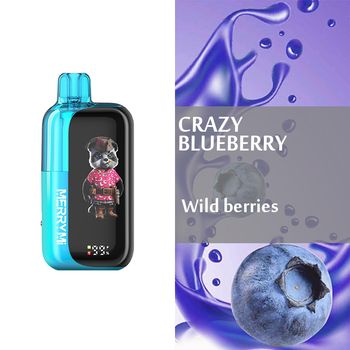 Crazy Blueberry - MERRYMi - PANDA X