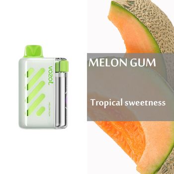 Melon Gum - VOZOL - VISTA 40000